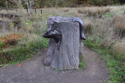 Mather Road short accessible trail loop has artwork and an interpretive display along the trail